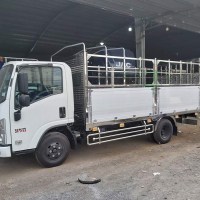 Không có thiết lập ảnh 